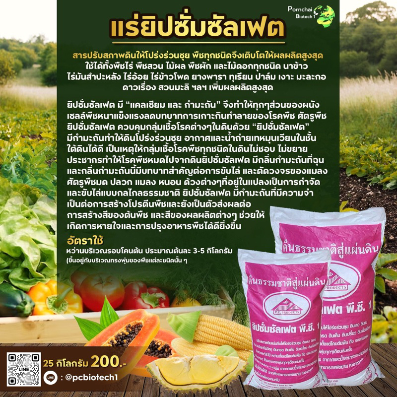 สารปรับสภาพดิน แร่ยิปซั่มซัลเฟต แก้ไขปัญหาดินเสื่อมโทรม - Image 2