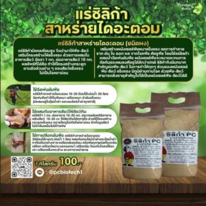 ซิลิก้า (ผง) สาหร่ายไดอะตอม ทาหน้ายาง