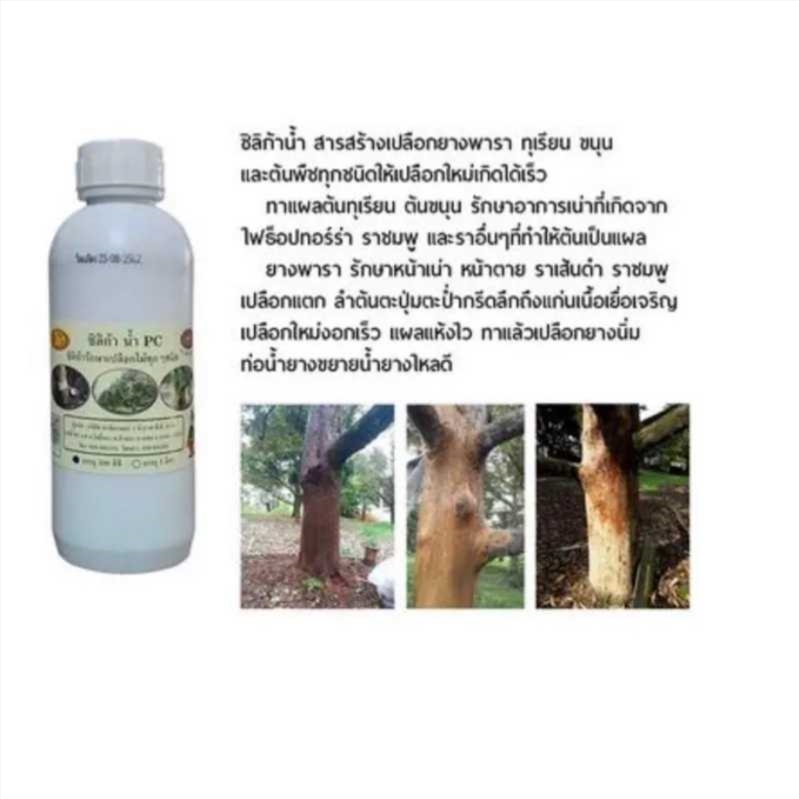 ซิลิก้าน้ำ สารสร้างเปลือกยางพารา ทุเรียน ขนุนและต้นพืชทุกชนิด ให้เปลือกใหม่เกิดได้เร็ว - Image 2