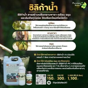 ซิลิก้าน้ำ สารสร้างเปลือกยางพารา ทุเรียน ขนุนและต้นพืชทุกชนิด ให้เปลือกใหม่เกิดได้เร็ว