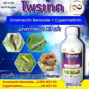 โพรเทค อีมาเมตินเบนโซเอต+ ไซเพอร์เมทริน กำจัดหนอนและแมลงแรงกว่าอะบา3เท่า
