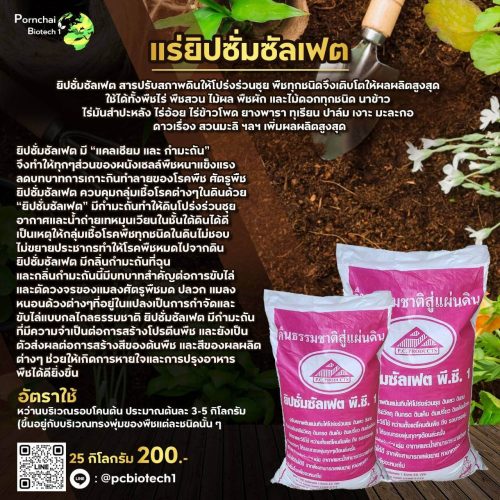 timeline_20230913_084907